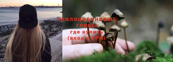 каннабис Нефтекумск