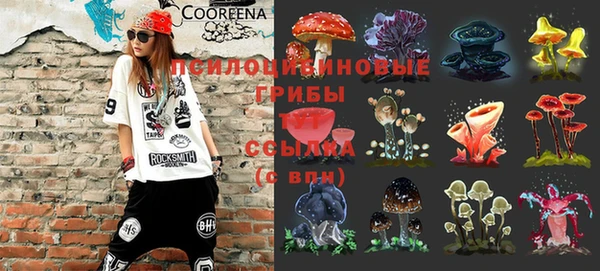 хмурый Нея