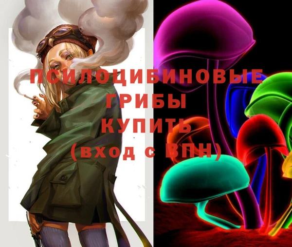 мдпв Приозерск