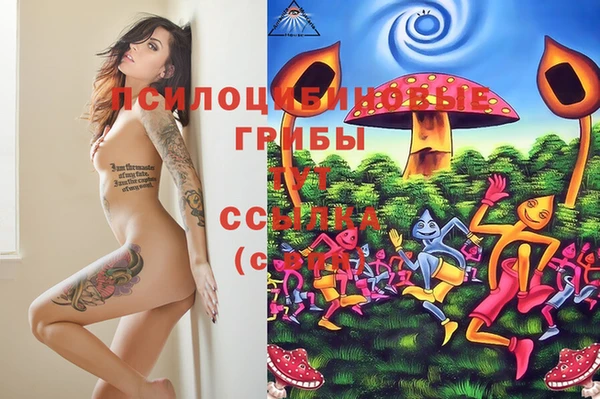 прущий лед Бугульма