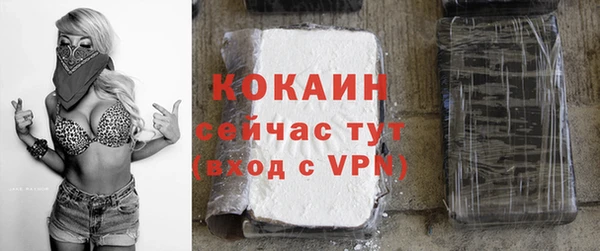 стафф Бородино