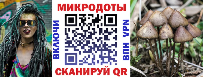 Псилоцибиновые грибы MAGIC MUSHROOMS  Менделеевск 